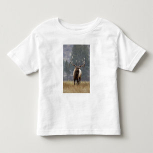 Camiseta De Bebé Alce macho haciendo sonar su llamada, Parque Nacio
