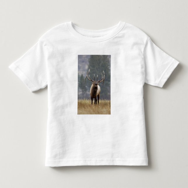 Camiseta De Bebé Alce macho haciendo sonar su llamada, Parque Nacio (Anverso)