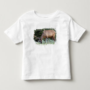 Camiseta De Bebé Alce toro con cuernos en terciopelo pastando