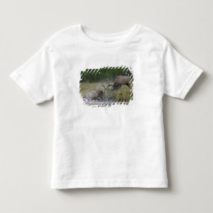 Camiseta De Bebé Alces machos luchando, Parque Nacional Yellowstone