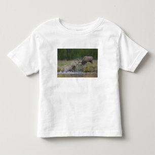 Camiseta De Bebé Alces toros luchando, Yellowstone NP, Wyoming