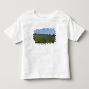 Camiseta De Bebé Alemania, Franconia, Rothenburg. Vista a lo largo 