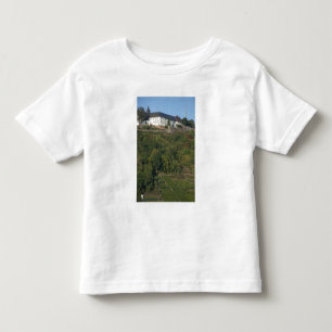 Camiseta De Bebé Alemania, Franconia, Wertheim. Colinas especiales