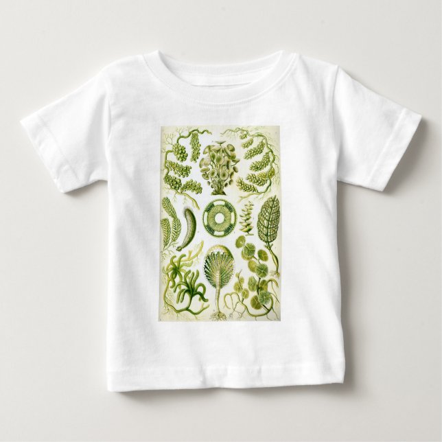 Camiseta De Bebé Alga marina y algas de Siphoneae de Ernst Haeckel (Anverso)