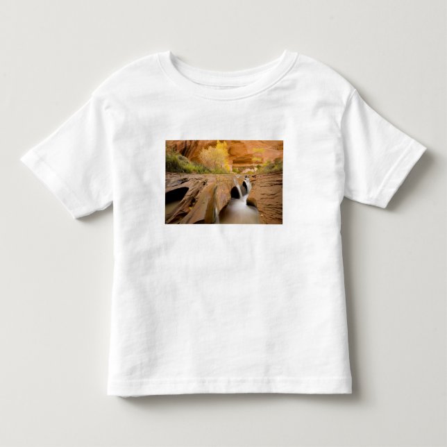 Camiseta De Bebé Algodoneros en Otoño, Coyote Gulch, Glen (Anverso)