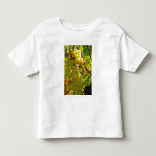 Camiseta De Bebé Algunos Chasselas en el viñedo - plantados durant