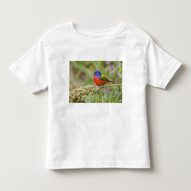 Camiseta De Bebé Alimento masculino de Bunting (ciris passeriano) (Anverso)