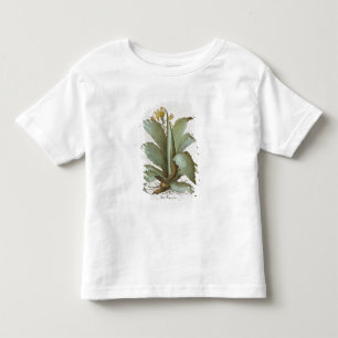 Camiseta De Bebé Áloe americano: Áloe americana, del 'Hortus Ey