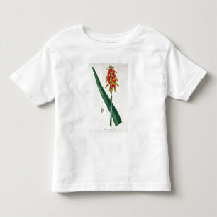Camiseta De Bebé Áloe de "Phytographie Medicale" por José Roques