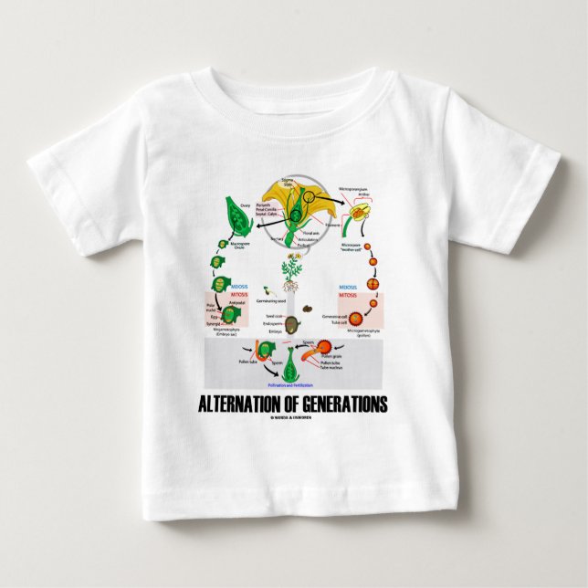Camiseta De Bebé Alternación de las generaciones (ciclo vital de la (Anverso)