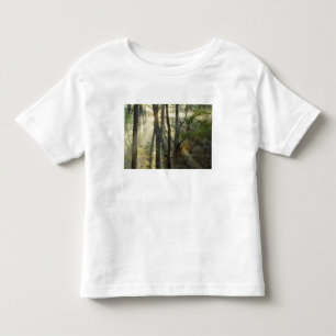 Camiseta De Bebé Amanecer a través del bosque de roble y nogal amer