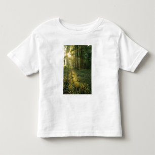 Camiseta De Bebé Amanecer a través del bosque de roble y nogal, Mam