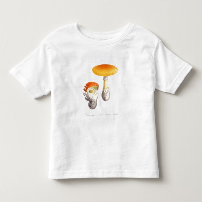 Camiseta De Bebé Amanita Caesaria de "Phytographie Medicale" por J (Anverso)