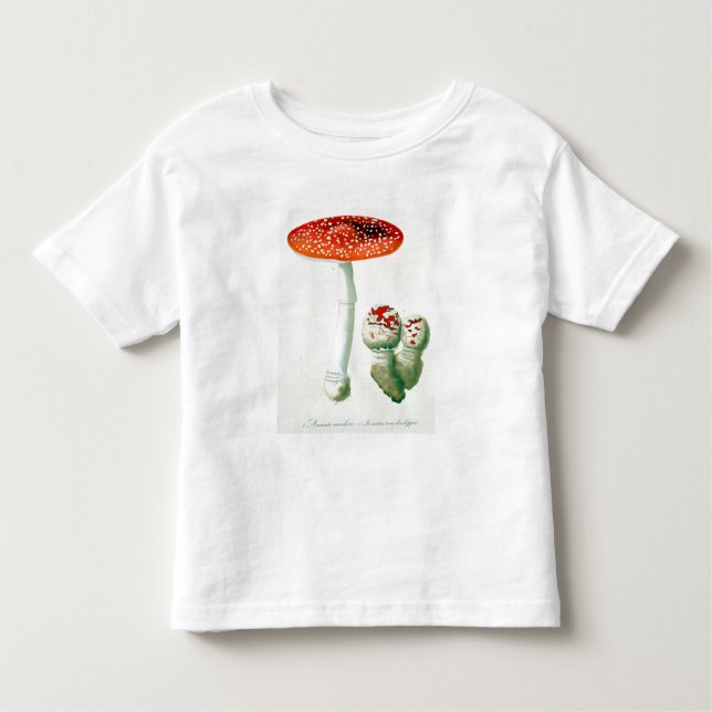 Camiseta De Bebé Amanita Muscaria de "Phytographie Medicale" por J (Anverso)