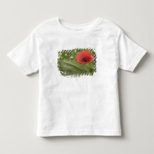 Camiseta De Bebé Amapola roja, Toscana, Italia