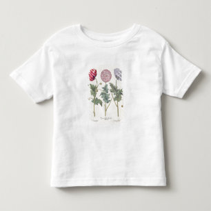 Camiseta De Bebé Amapolas: rubicundis múltiplexes de los albumoris