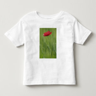 Camiseta De Bebé Amarilla flor de amapola entre el cultivo de trigo