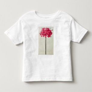 Camiseta De Bebé Amaryllis Sarniensis, o narciso