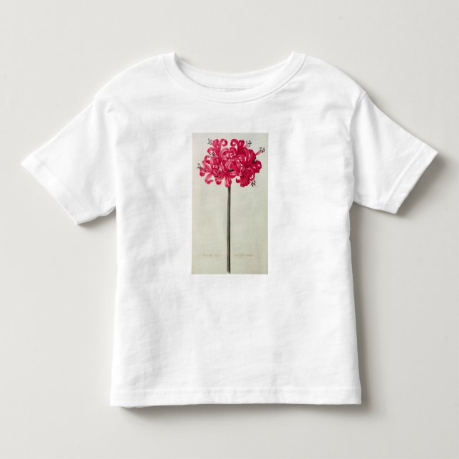 Camiseta De Bebé Amaryllis Sarniensis, o narciso (Anverso)