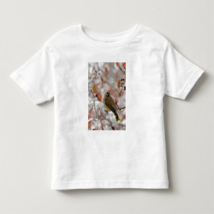 Camiseta De Bebé Amelanchier adulto sobre espino con nieve,