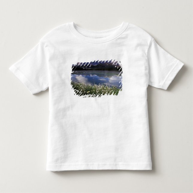 Camiseta De Bebé América del Norte, Canadá, Alberta, Banff National (Anverso)