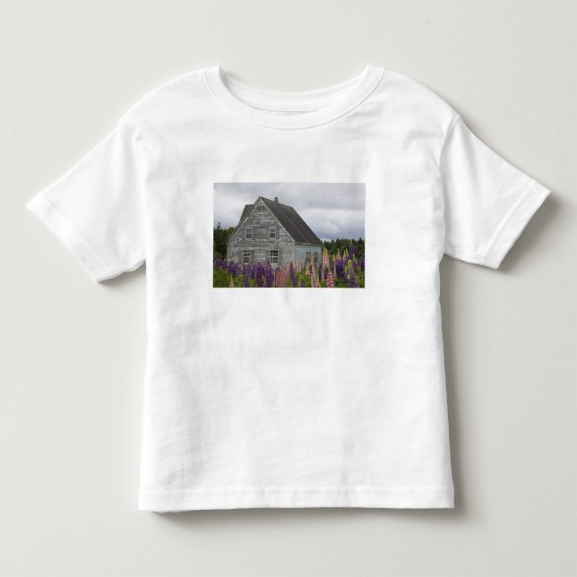 Camiseta De Bebé América del Norte, Canadá, Isla del Príncipe Eduar (Anverso)