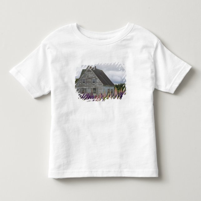 Camiseta De Bebé América del Norte, Canadá, Isla del Príncipe Eduar (Anverso)