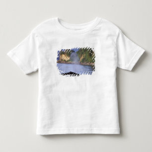Camiseta De Bebé América del Norte, EE.UU., Alaska, Paso interno.
