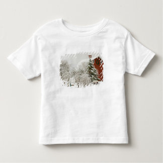 Camiseta De Bebé América del Norte, EE.UU., WA, Isla Whidbey.