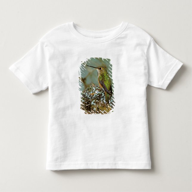 Camiseta De Bebé América del Norte, Estados Unidos, Alaska. Rufous  (Anverso)
