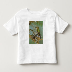 Camiseta De Bebé América del Norte, Estados Unidos, Alaska. Rufous