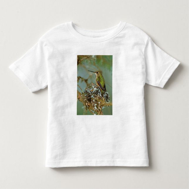 Camiseta De Bebé América del Norte, Estados Unidos, Alaska. Rufous  (Anverso)