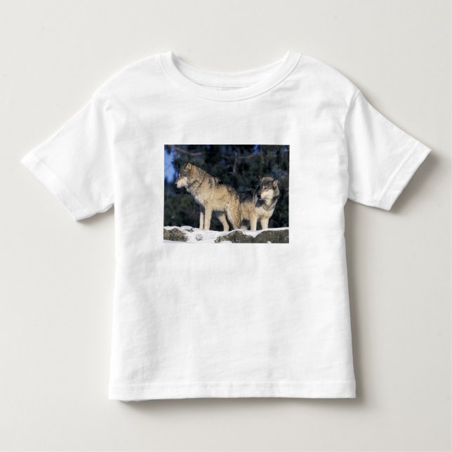 Camiseta De Bebé América del Norte, Estados Unidos, Minnesota. Wolf (Anverso)