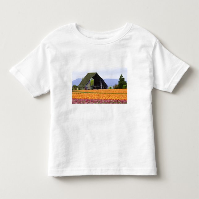 Camiseta De Bebé América del Norte, Estados Unidos, Washington, Ska (Anverso)