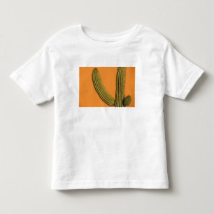 Camiseta De Bebé América del Norte, México, Baja California, Cabo