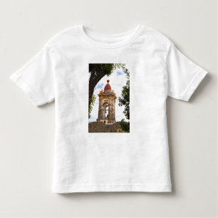 Camiseta De Bebé América del Norte, México, estado de Guanajuato, S