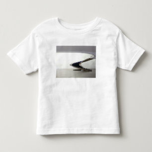 Camiseta De Bebé América del Sur, Brasil, Brasilia. Interior