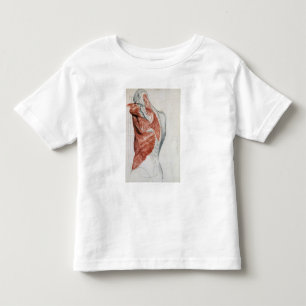 Camiseta De Bebé Anatomía humana; Músculos del torso y del hombro