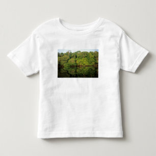 Camiseta De Bebé Anavilhanas, Amazonas, Brasil. Río de selva tropic