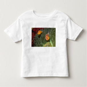 Camiseta De Bebé Anemonefish rosado en anémona de mar de