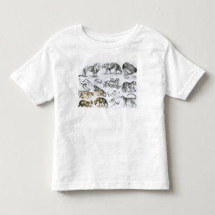 Camiseta De Bebé Animales carnívoros