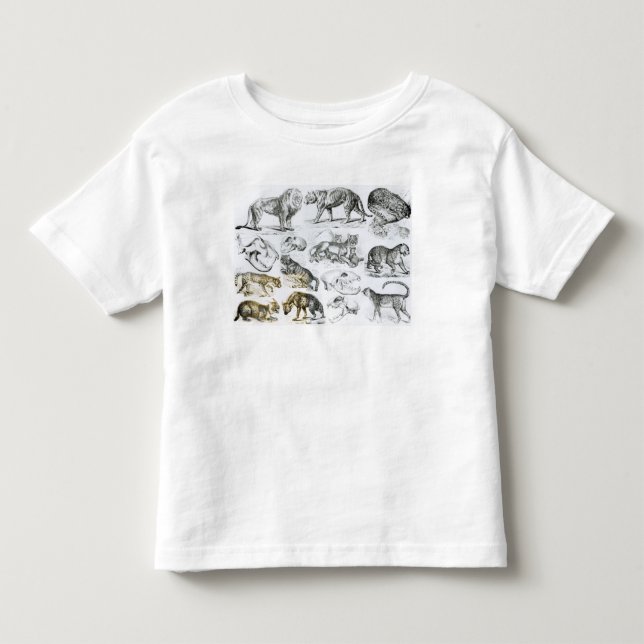 Camiseta De Bebé Animales carnívoros (Anverso)