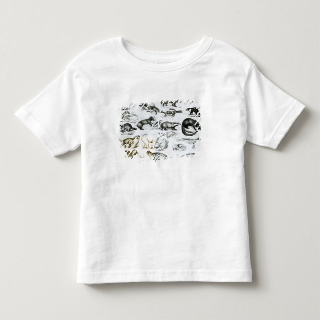 Camiseta De Bebé Animales carnívoros (Anverso)