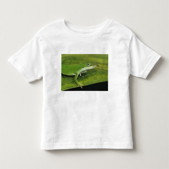 Camiseta De Bebé Anole verde, Anolis carolinensis, adulto sobre la  (Anverso)
