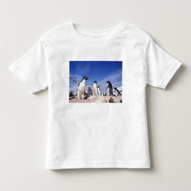 Camiseta De Bebé Antártida, Adelie Penguin Pygoscelis (Anverso)