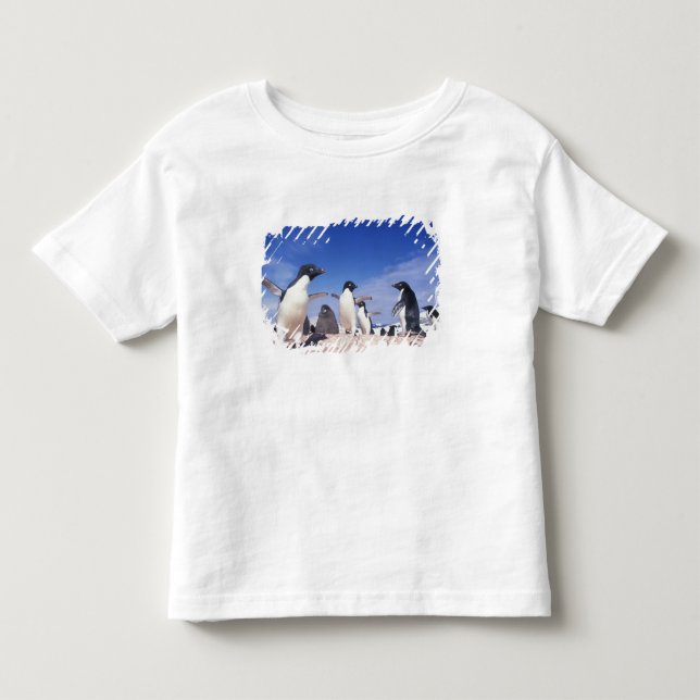 Camiseta De Bebé Antártida, Adelie Penguin Pygoscelis (Anverso)