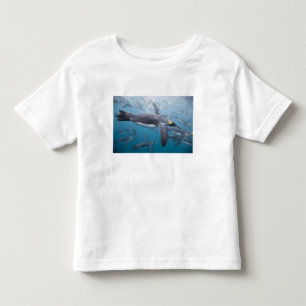 Camiseta De Bebé Antártida, Isla Georgia del Sur Reino Unido