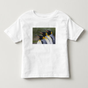 Camiseta De Bebé Antártida, Isla Georgia del Sur (Reino Unido), Rey