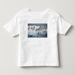Camiseta De Bebé Antártida, Isla Paulet. Pingüinos Adelie