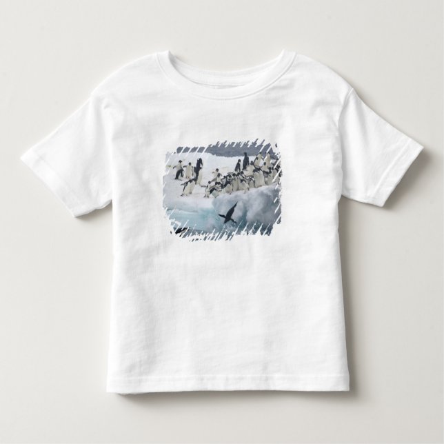 Camiseta De Bebé Antártida, isla Paulet. Pingüinos de Adelie (Anverso)